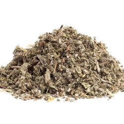 Šalvia vňať (Salvia officinalis) - bylina
