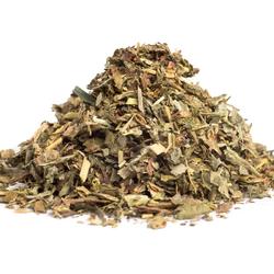 ALCHEMILKA OBYČAJNÁ VŇAŤ (Alchemilla vulgaris) - bylina