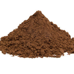 REISHI huba BIO (Ganoderma Lucidum) - prášok