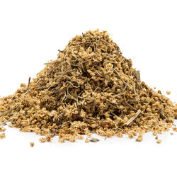BAZA ČIERNA KVET (Sambucus nigra) - bylina