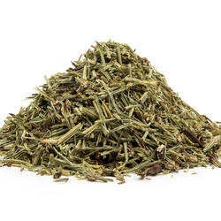 PRASLIČKA VŇAŤ (Equisetum arvense) - bylina
