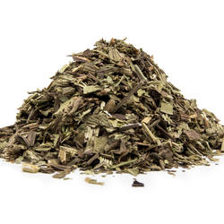 SKOROCEL LIST (Plantago lanceolata) - bylina