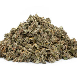 LOPÚCH LIST (Arctium lappa) - bylina