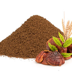 Čakanková káva so špaldou a reishi