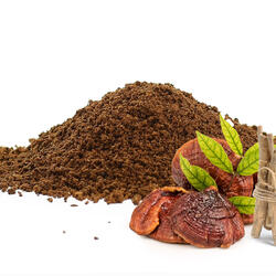 Adaptogénna káva s reishi a ashwagandhou - iba mletá