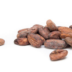 VENEZUELA SUR DEL LAGO SUPERIOR - kakaové bôby nepražené