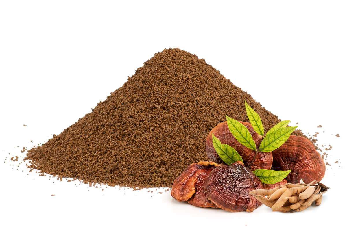E-shop Čakanková káva s reishi a shatavari, 1000g