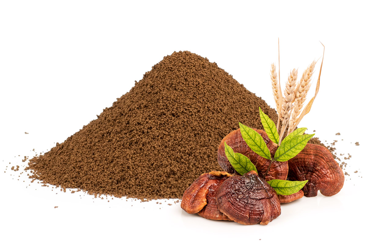 E-shop Čakanková káva so špaldou a reishi, 1000g