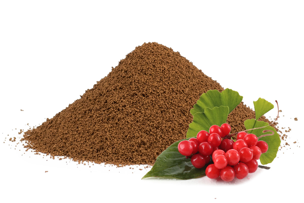 E-shop Čakanková káva s schizandrou a ginkgo bilobou, 1000g