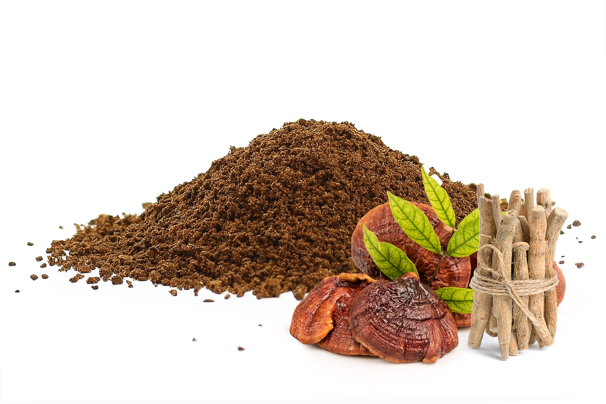 E-shop Adaptogénna káva s reishi a ashwagandhou - iba mletá, 1000g